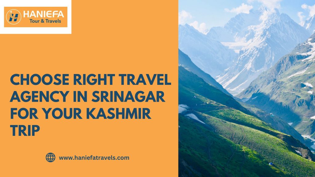 Choose Right Travel Agency in Srinagar for Your Kashmir Trip