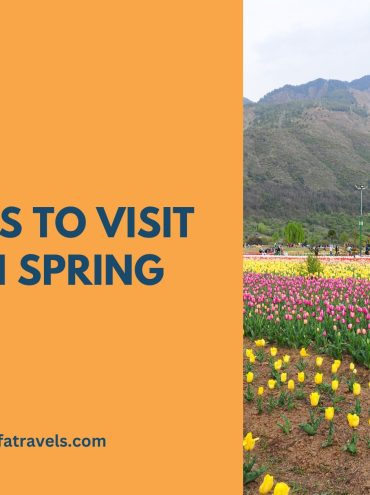 Best Places to Visit Kashmir in Spring Season