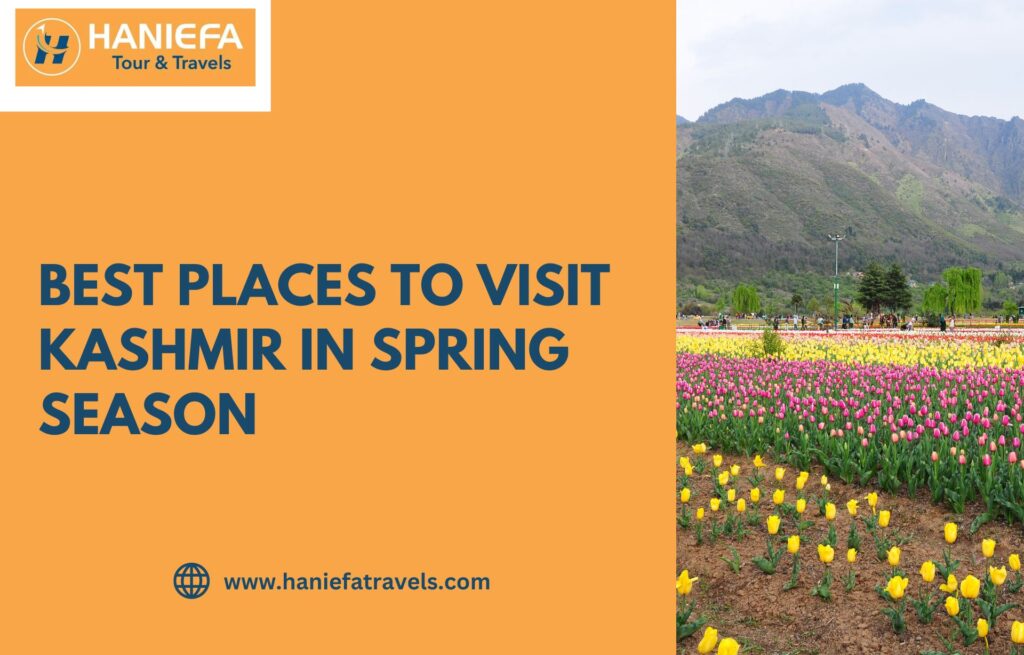 Packing list for Kashmir in spring Kashmir travel essentials April and May What clothes to carry for Kashmir in March Spring travel tips for Kashmir Best outfits for Kashmir tulip season How cold is Kashmir in April Kashmir trip bag checklist Travel essentials for Gulmarg and Pahalgam Things to carry for Kashmir valley tour What to wear in Kashmir during spring