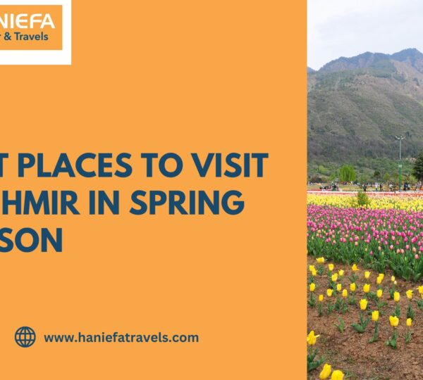 Packing list for Kashmir in spring Kashmir travel essentials April and May What clothes to carry for Kashmir in March Spring travel tips for Kashmir Best outfits for Kashmir tulip season How cold is Kashmir in April Kashmir trip bag checklist Travel essentials for Gulmarg and Pahalgam Things to carry for Kashmir valley tour What to wear in Kashmir during spring