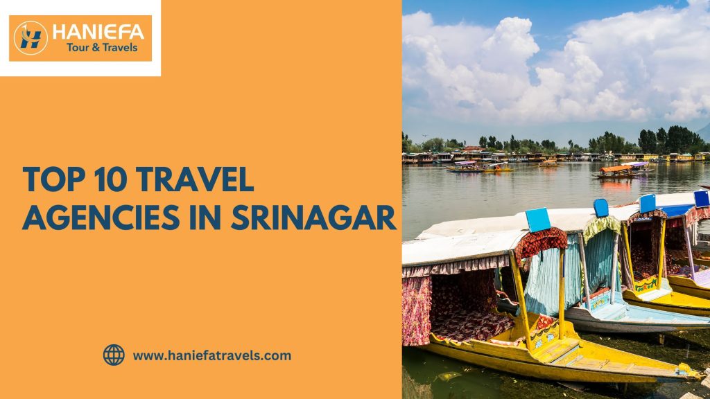 Top 10 Travel Agencies in Srinagar