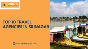 Top 10 Travel Agencies in Srinagar