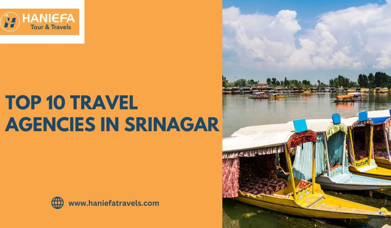 Top 10 Travel Agencies in Srinagar