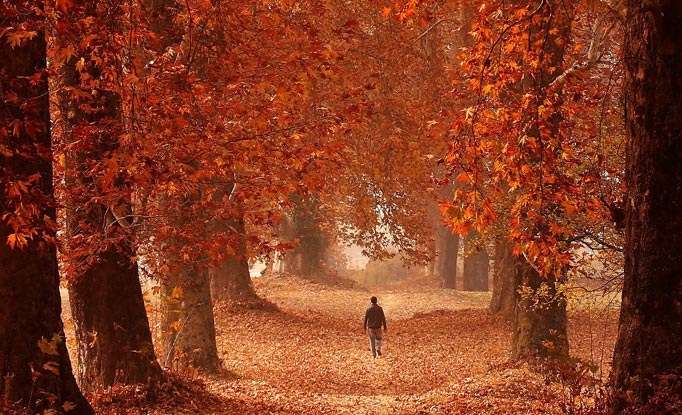 Best Time to Visit Kashmir: A Seasonal Travel Guide