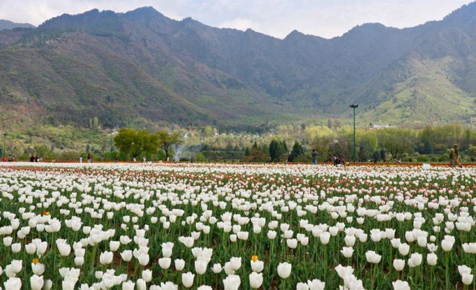 Best Time to Visit Kashmir: A Seasonal Travel Guide