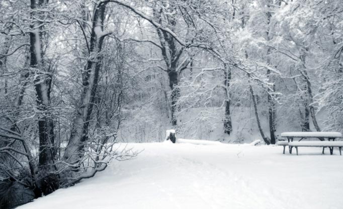 Kashmir winter travel essentials
packing list for Kashmir in December
what to wear in Kashmir winter
travel tips for Kashmir in winter
things to carry for Kashmir tour
winter clothing for Kashmir
must-haves for Kashmir snowfall trip
best time to visit Kashmir in winter
Kashmir winter travel guide
how to dress for snow in Kashmir