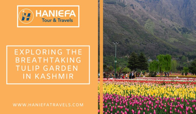 Exploring the Breathtaking Tulip Garden In Kashmir.