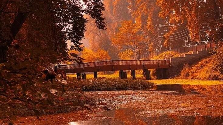 Kashmir holiday packages