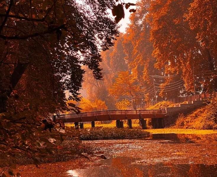 autumn in Kashmir