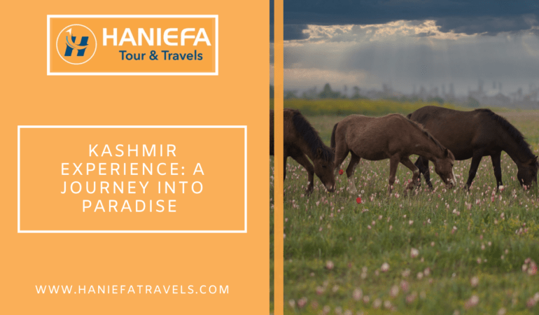 Kashmir Experience: A Journey into Paradise