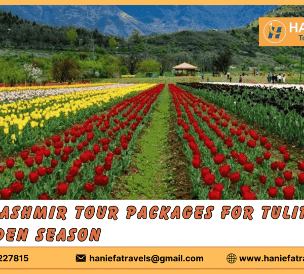 Kashmir Tulip Garden packages