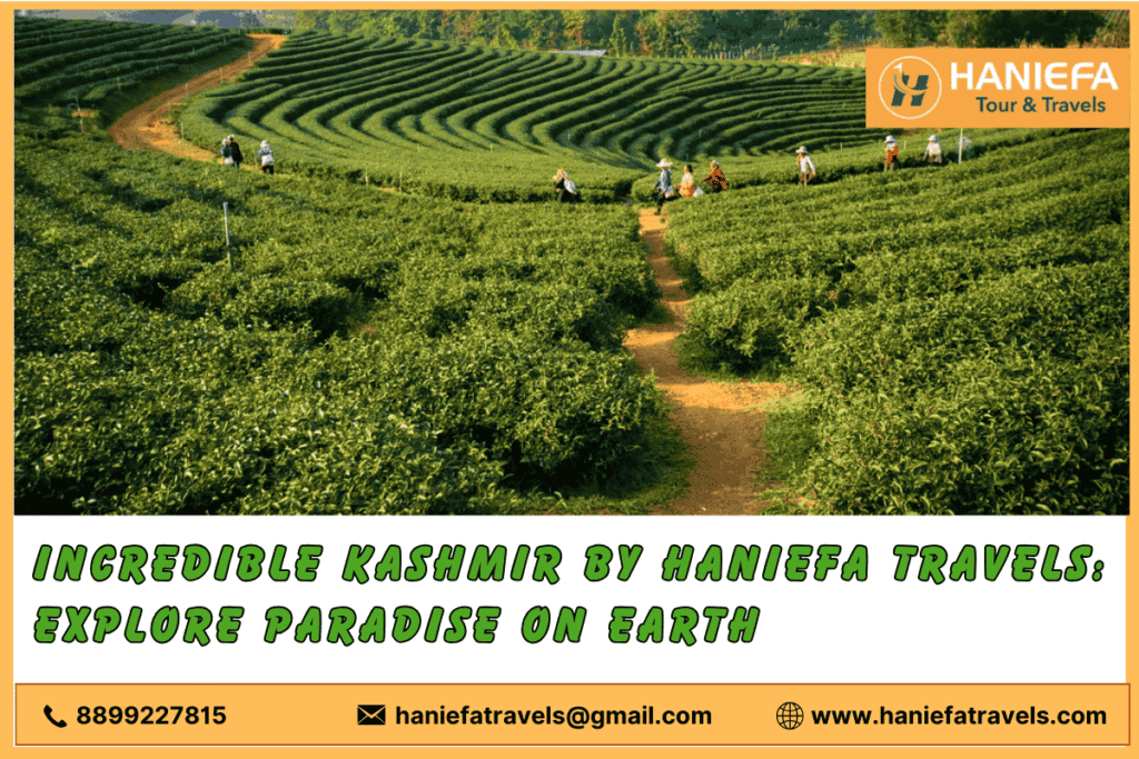 "Peaceful scene of Yusmarg meadows, Kashmir "Kashmir travel packages by Haniefa Travels"