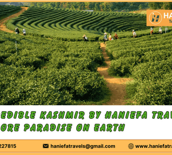 "Peaceful scene of Yusmarg meadows, Kashmir "Kashmir travel packages by Haniefa Travels"