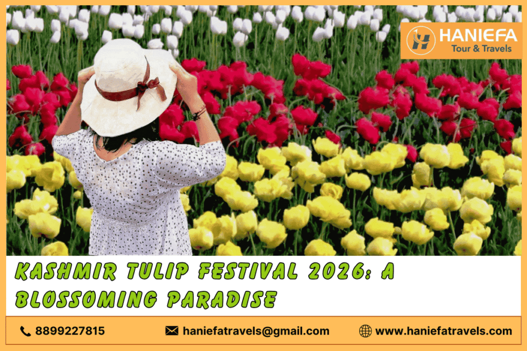 Kashmir Tulip Festival 2026