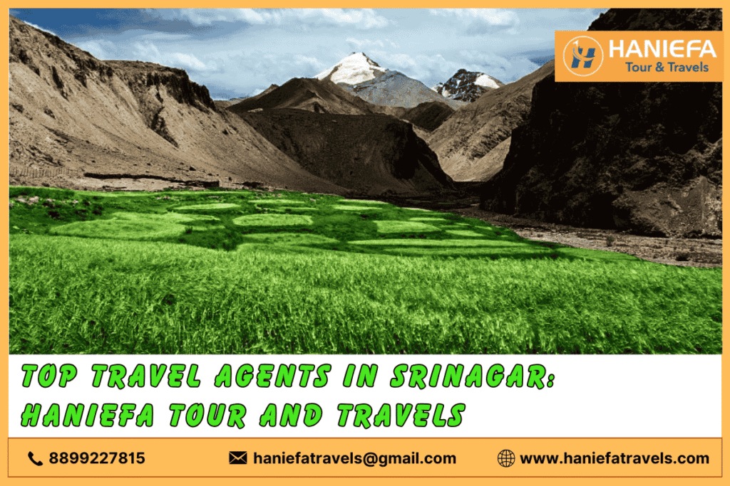 Top travel agents in Srinagar