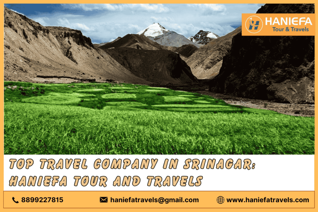 top travel company in Srinagar