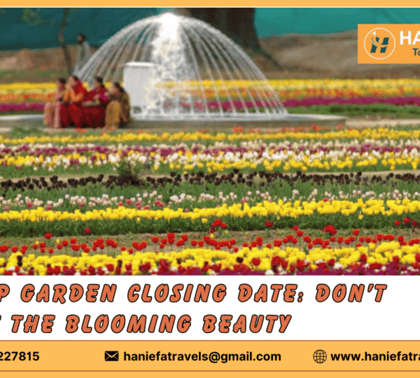 Tulip Garden closing date Kashmir