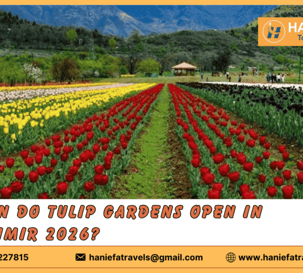 When Do Tulip Gardens Open in Kashmir 2026