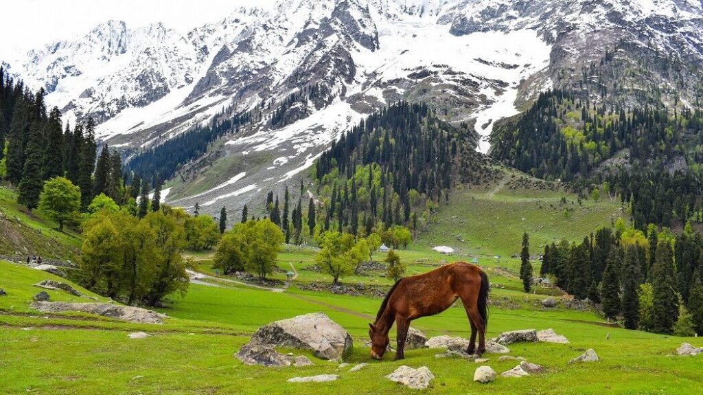 Adventure tour packages in Kashmir