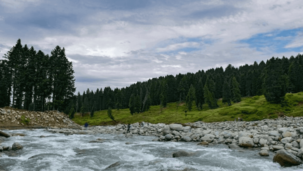 Kashmir tour package with Haniefa Travels