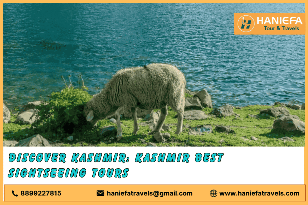 Top sightseeing tours in Kashmir Kashmir sightseeing tour packages Kashmir scenic tours Best tourist attractions in Kashmir Kashmir sightseeing experiences Kashmir guided tours Kashmir nature sightseeing Kashmir sightseeing adventures Kashmir cultural tours Kashmir travel and sightseeing