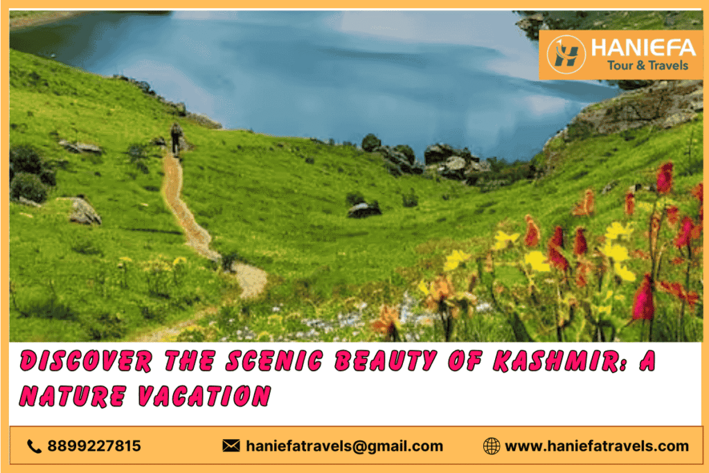 Scenic Nature Vacation in Kashmir