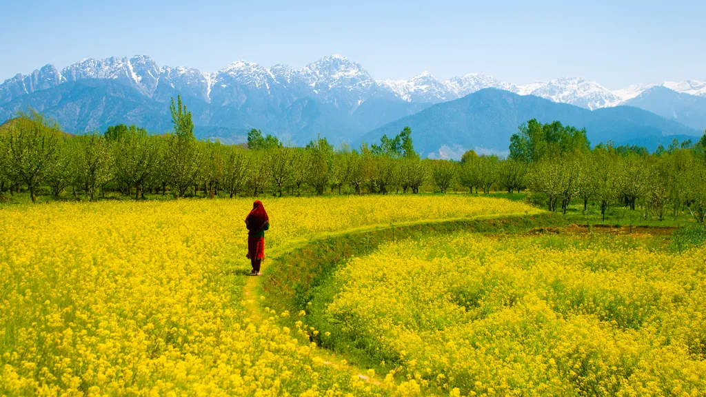 Kashmir travel experience