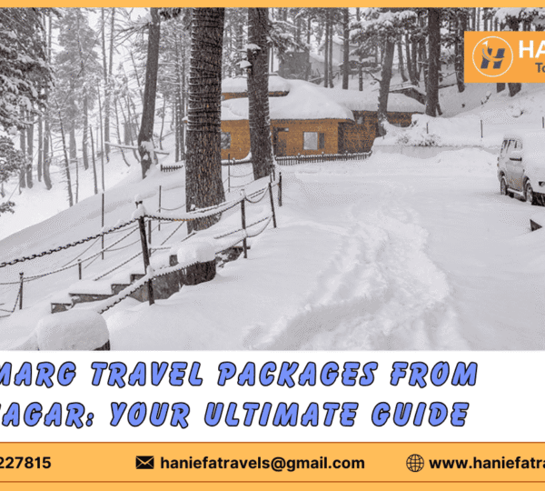 Gulmarg travel packages from Srinagar