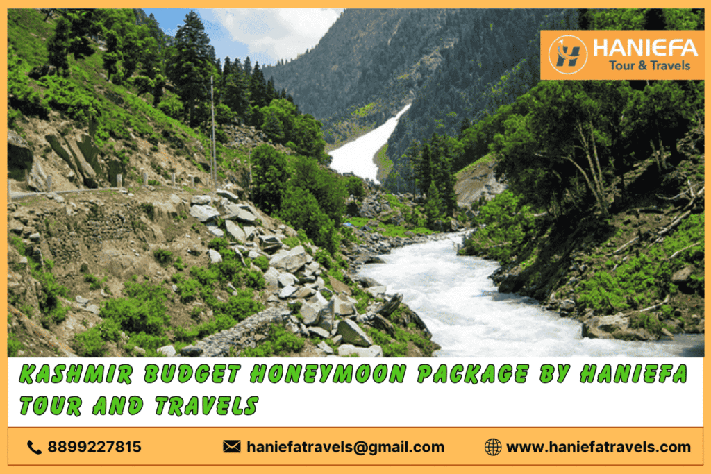 Kashmir budget honeymoon package