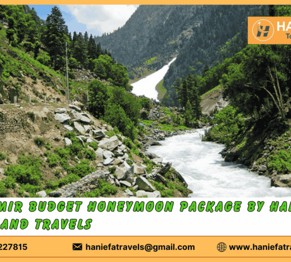 Kashmir budget honeymoon package