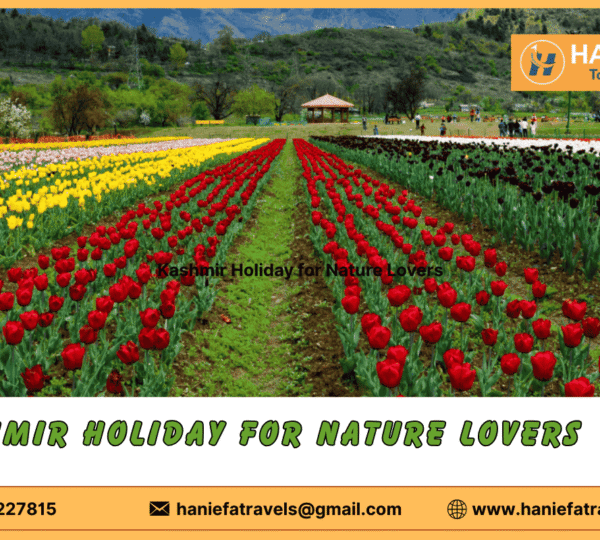 Kashmir holiday for nature loversKashmir nature retreat Eco-friendly travel in Kashmir Kashmir wildlife experiences Scenic spots in Kashmir Nature photography in Kashmir Kashmir trekking tours Nature trails in Kashmir Adventure activities in Kashmir Kashmir eco-tourism Best nature experiences in Kashmir Kashmir outdoor adventures Kashmir landscape exploration Family nature holiday in Kashmir Kashmir nature exploration Kashmir camping trips Kashmir nature tours Kashmir natural wonders Unforgettable nature experiences in Kashmir Kashmir's hidden natural gems