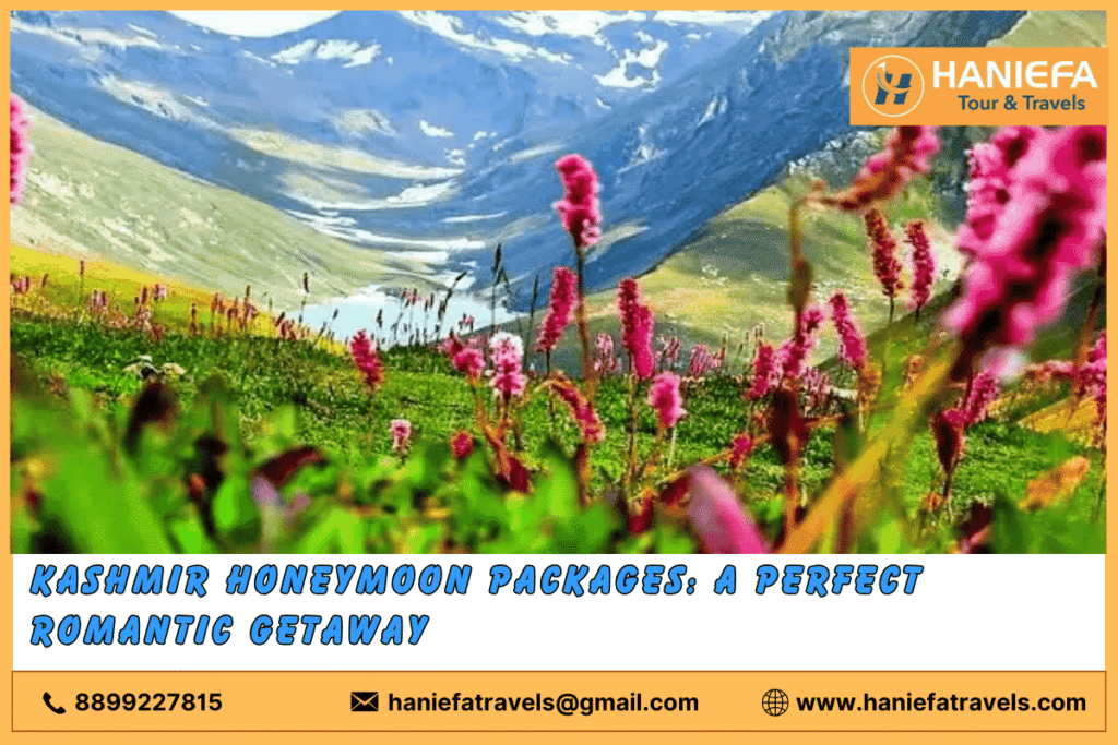 Kashmir Honeymoon Packages