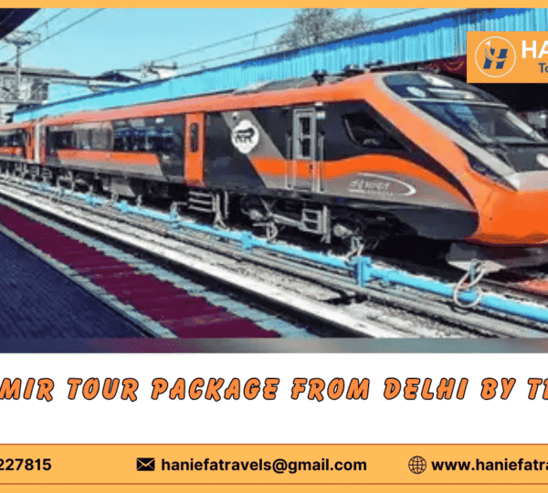 Kashmir tour package from Delhi by train