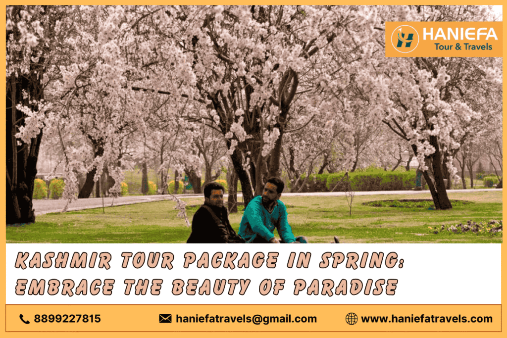 Kashmir tour package in spring