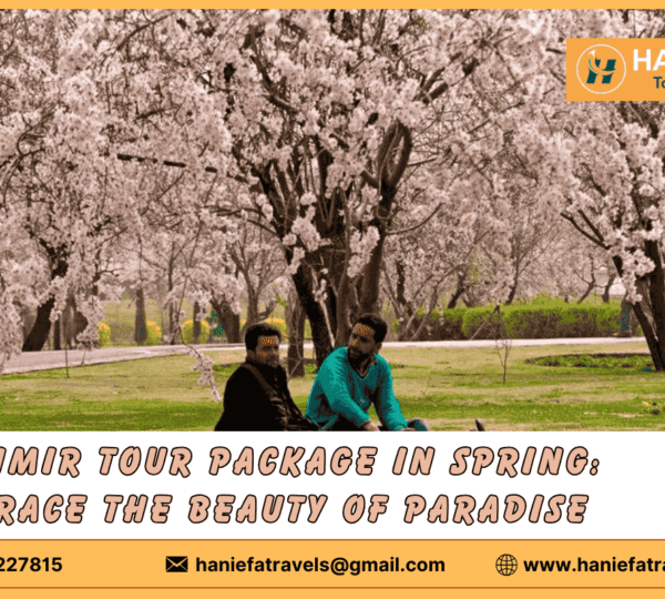 Kashmir tour package in spring