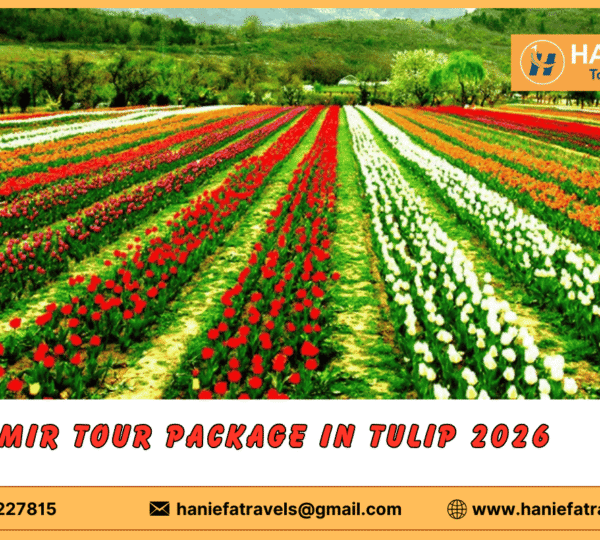 Kashmir tour package in Tulip 2026