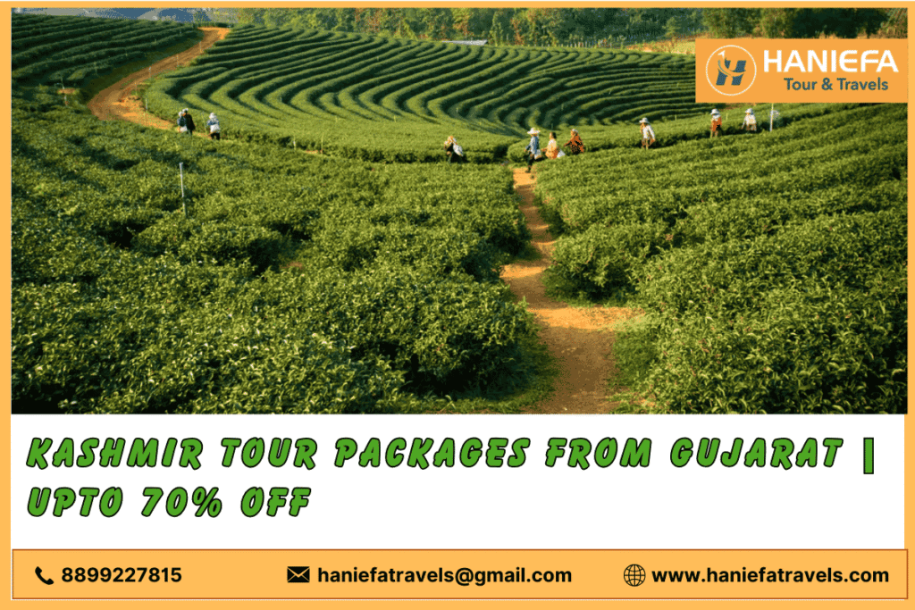 Kashmir tour packages from Gujarat