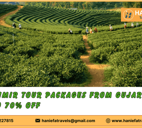 Kashmir tour packages from Gujarat