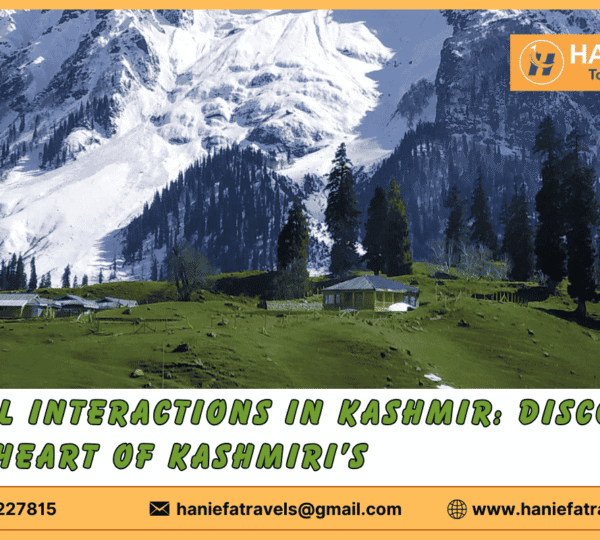 Local interactions in Kashmir