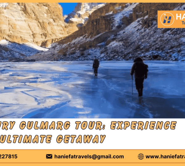 Luxury Gulmarg tour