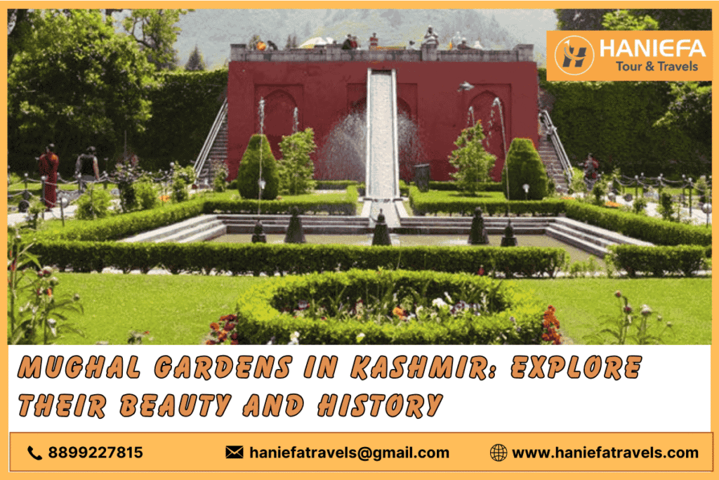 Mughal gardens in Kashmir Visiting Mughal gardens in Kashmir History of Mughal gardens in Kashmir Best Mughal gardens in Kashmir Scenic Mughal gardens in Kashmir Exploring Mughal gardens in Kashmir Famous Mughal gardens in Kashmir Mughal garden tours in Kashmir Unique features of Mughal gardens in Kashmir Photography in Mughal gardens in Kashmir