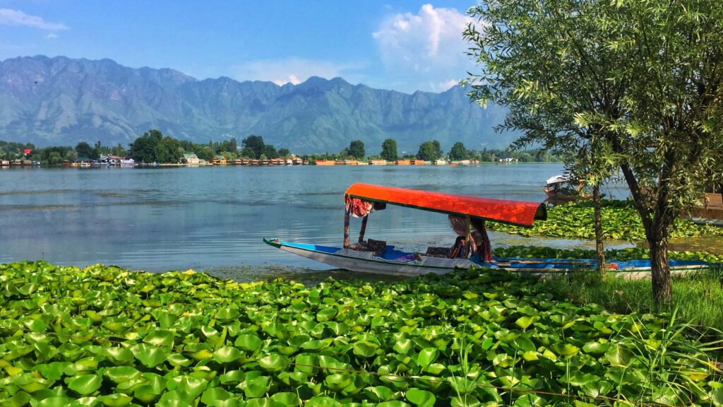 Shikara ride in Kashmir Shikara ride in Kashmir
Enjoying a Shikara ride in Kashmir
Scenic Shikara ride in Kashmir
Experience a Shikara ride in Kashmir
Best Shikara ride in KashmirMemorable Shikara ride in Kashmir
Romantic Shikara ride in Kashmir
Shikara ride experience in Kashmir
Family-friendly Shikara ride in Kashmir
Unique Shikara ride in Kashmir
Shikara ride tours in Kashmir
Sunset Shikara ride in Kashmir
Cultural Shikara ride in Kashmir
Affordable Shikara ride in Kashmir