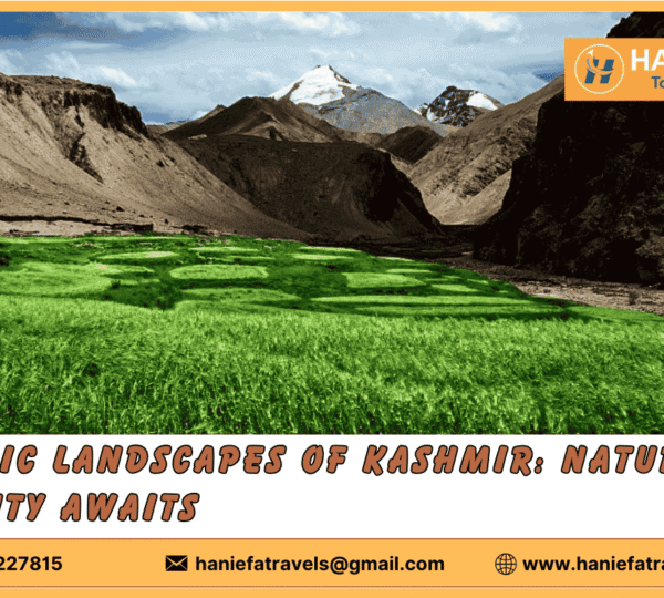 Scenic Landscapes of Kashmir Beautiful Landscapes in Kashmir Kashmir Natural Beauty Kashmir Scenic Views Kashmir Photography Spots Picturesque Places in Kashmir Kashmir Scenic Tours Explore Kashmir's Landscapes Best Landscapes in Kashmir Kashmir Scenic Attractions