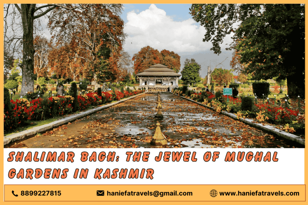 SRINAGAR, KASHMIR- NOVEMBER 17: Indian tourists walk under Chinar trees which have changed their color in the Shalimar Mughal garden during the autumn season on November 17, 2022 in Srinagar, Indian administered Kashmir, India. Autumn colors are reaching their peak as the days are becoming shorter, heralding the approach of winter in Kashmir. Known locally as the 'Chinar', an indigenous variety of maple that is also known as the oriental plane is a deciduous tree that can be found in many popular Mughal gardens such as those at the Nishat, Shalimar, Harwan and Naseem Bagh. (Photo by Yawar Nazir/Getty Images)