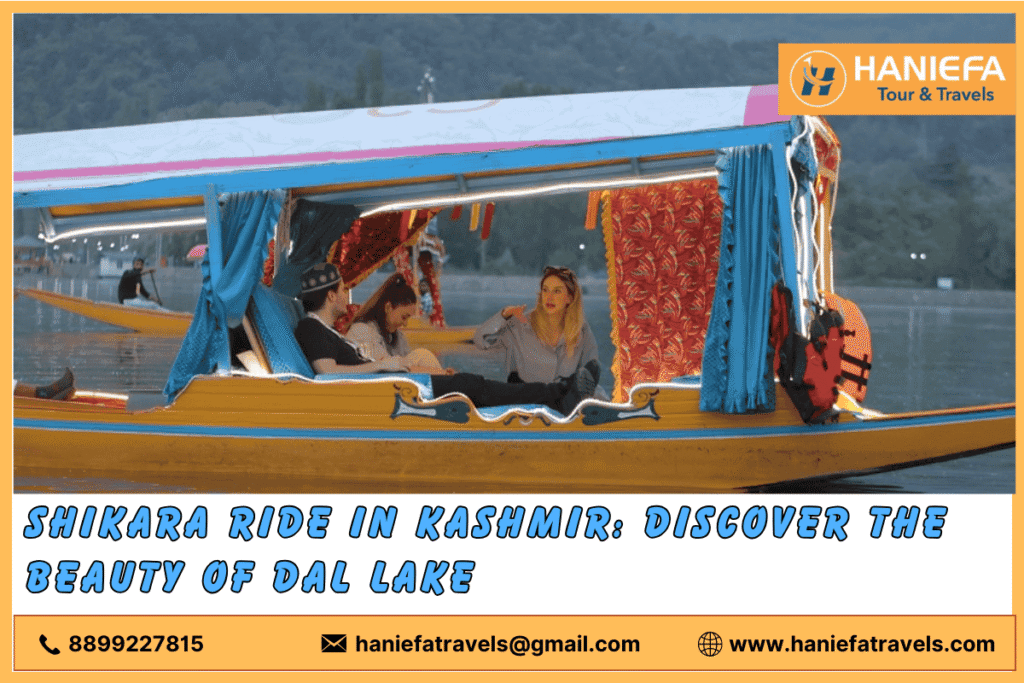 Best tour and travels in Srinagar