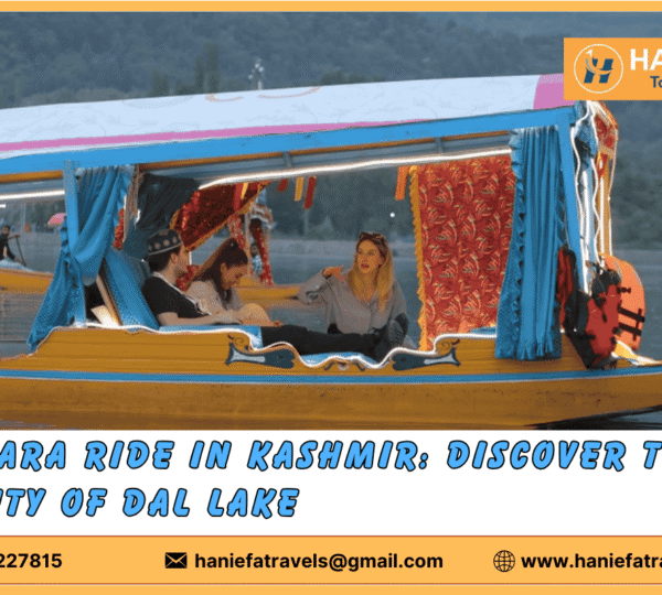 Best tour and travels in Srinagar