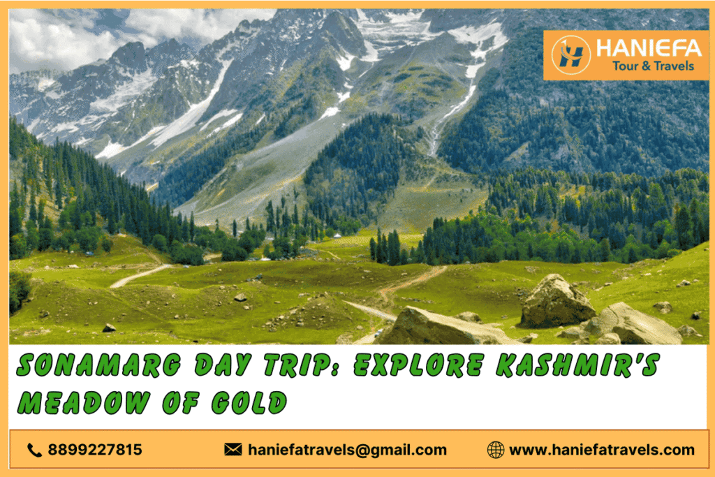 Srinagar food tour Best dishes on a Srinagar food tour Srinagar food tour experience Traditional Kashmiri food in Srinagar Srinagar food tour itinerary Local eateries in Srinagar food tour Must-try foods in Srinagar Culinary adventures in Srinagar Exploring Kashmiri cuisine in Srinagar Street food in Srinagar food tour