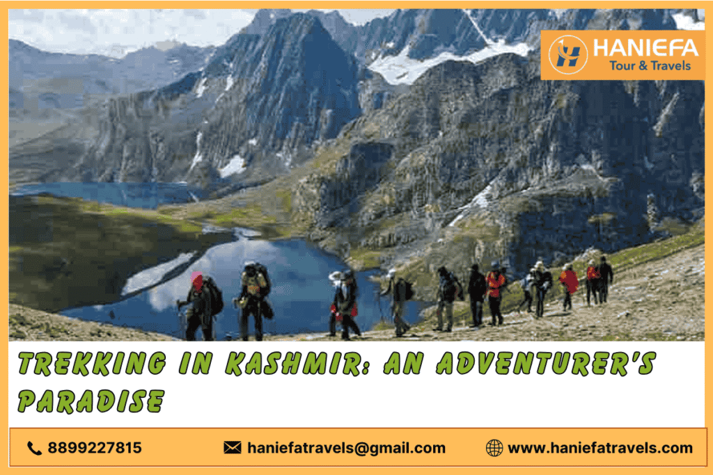 Trekking in Kashmir Kashmir Trekking Routes Best Treks in Kashmir Kashmir Adventure Trekking Kashmir Hiking Trails Trekking Tours in Kashmir Scenic Treks in Kashmir Kashmir Trekking Guide Alpine Treks in Kashmir Kashmir Trekking Experience