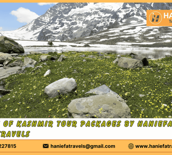 unique tour packages