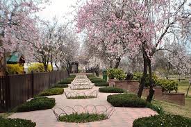 Jammu Kashmir tour package